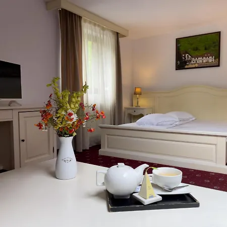 Guest house Pensiunea Poiana Izvoarelor Vatra Dornei