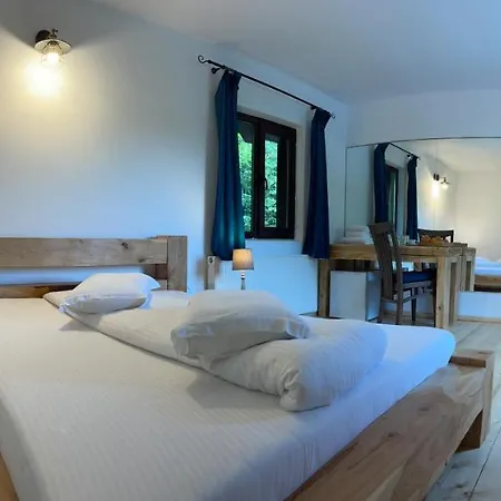 Pensiunea Poiana Izvoarelor Guest house Vatra Dornei