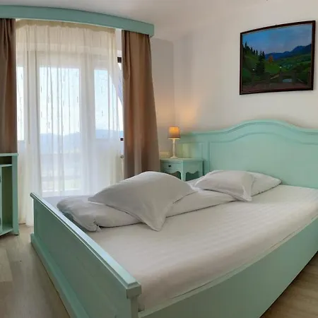 Pensiunea Poiana Izvoarelor Guest house