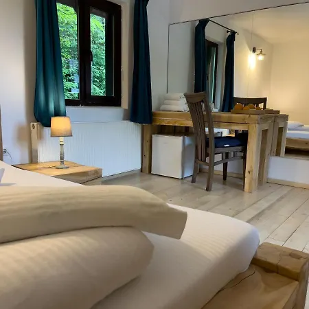 Guest house Pensiunea Poiana Izvoarelor 4*