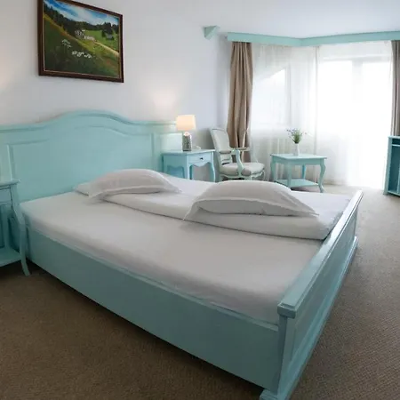 Pensiunea Poiana Izvoarelor Guest house Vatra Dornei