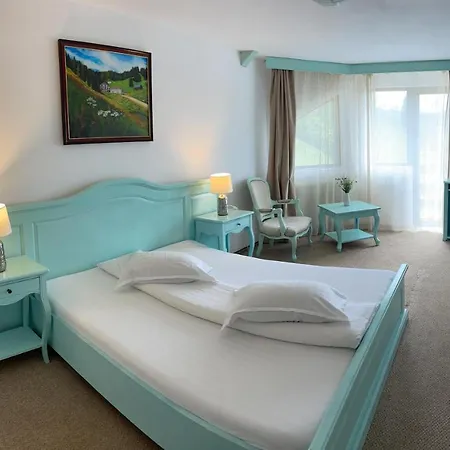 Guest house Pensiunea Poiana Izvoarelor