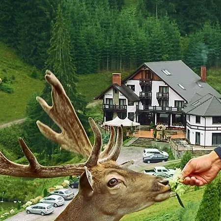 Pensiunea Poiana Izvoarelor 4* Vatra Dornei