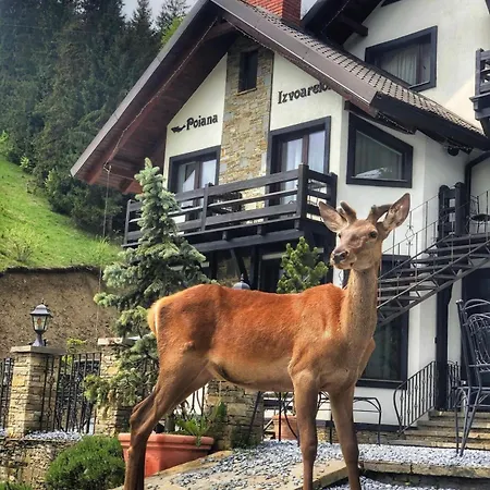 Pensiunea Poiana Izvoarelor Guest house