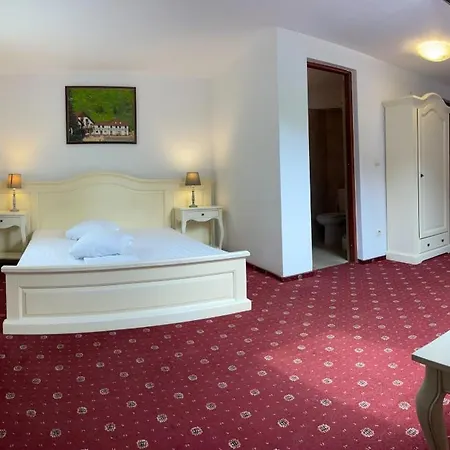 Pensiunea Poiana Izvoarelor 4*