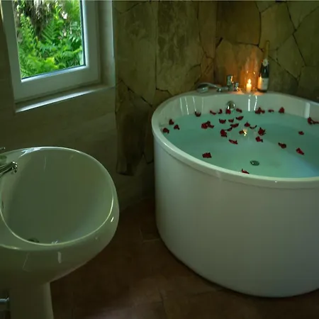 Guest house Pensiunea Poiana Izvoarelor 4*