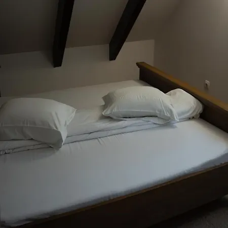 Guest house Pensiunea Poiana Izvoarelor Vatra Dornei